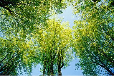 《如龙0》迎来10周年 老外粉丝称赞通过游戏学到日本商务礼仪